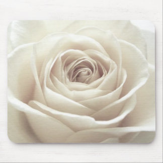Pretty white rose mouse pad