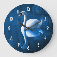 Pretty white swan floating on a blue lake