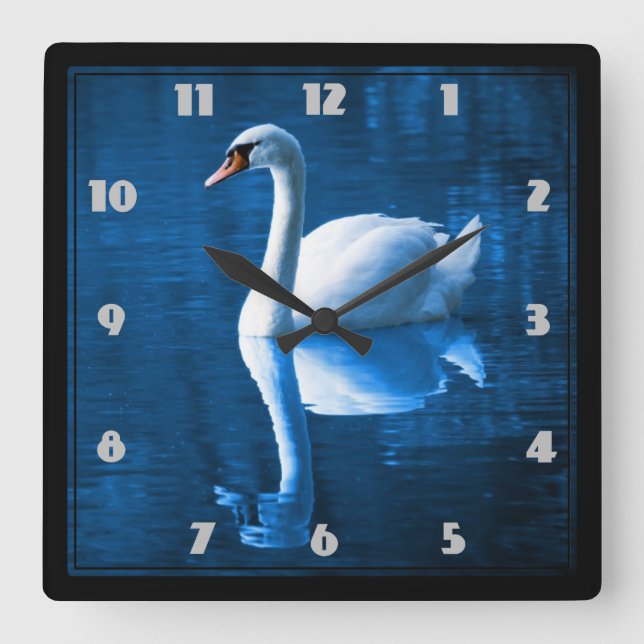 Pretty white swan floating on a blue lake square wall clock (Front)