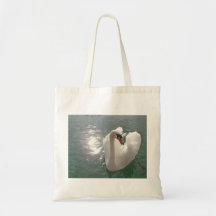 Pretty White Swan