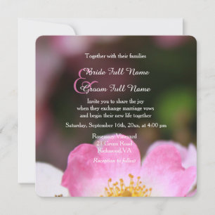 Pretty wild pink rose flower wedding invitations. invitation