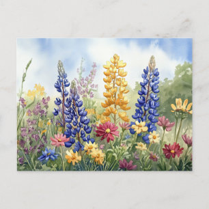 Pretty Wildflowers Colorful Floral Beautiful Postcard