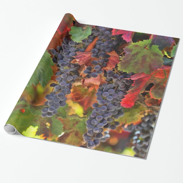 Pretty Wine Grape Vineyard Wrapping Paper (Unrolled)