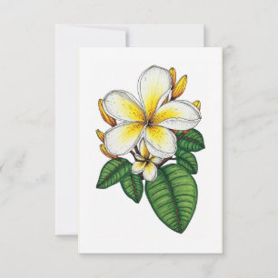 Pretty Yellow and White Plumeria Hawaiian  Thank You Card
