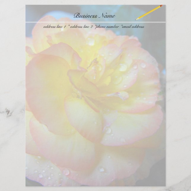 pretty yellow begonia flower (Front)