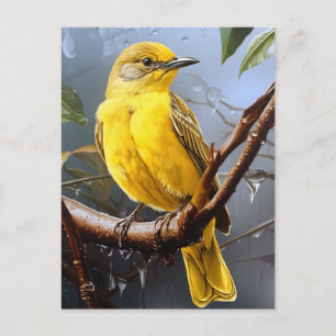 Pretty yellow bird  postcard