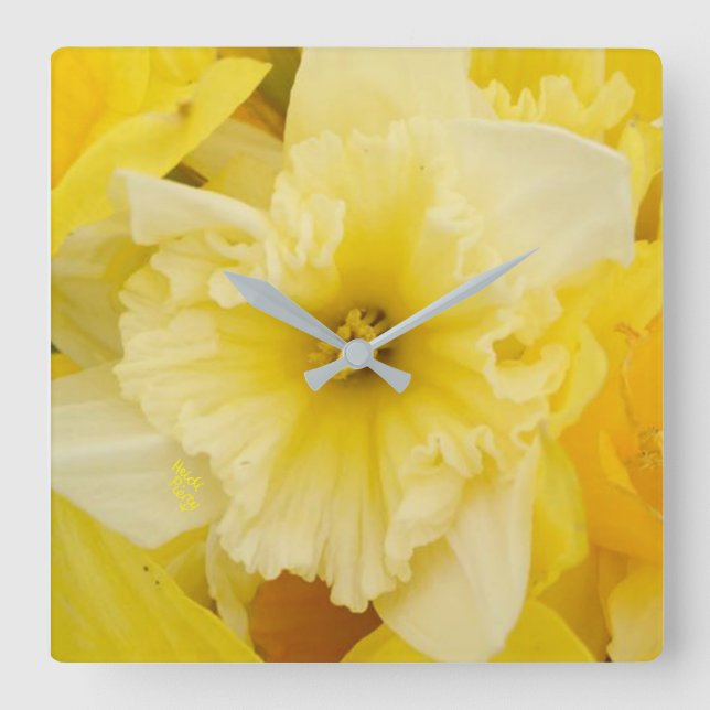 Pretty Yellow Daffodil Flowers Square Wall Clock (Front)