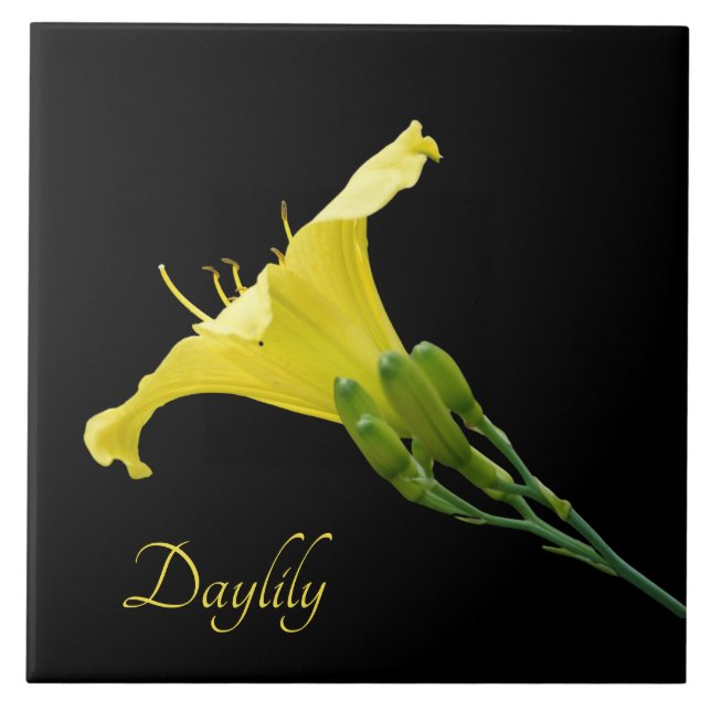 Pretty yellow daylily on black ceramic tile (Front)