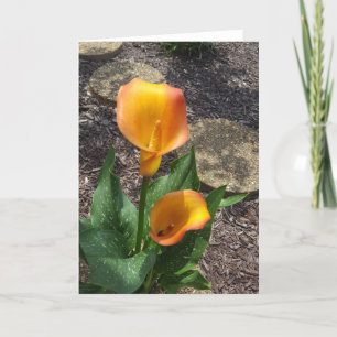 Pretty Yellow Floral Blank Card