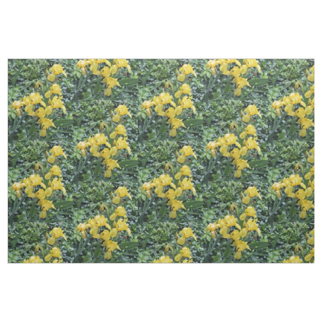 Pretty Yellow Irises Garden Flowers Fabric (Fat Quarter)