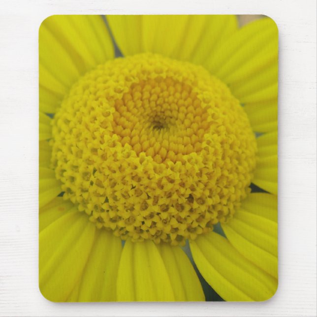 Pretty yellow marguerite mouse pad (Front)