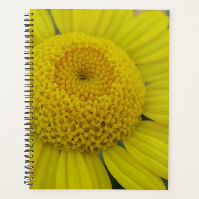 Pretty yellow marguerite planner (Front)