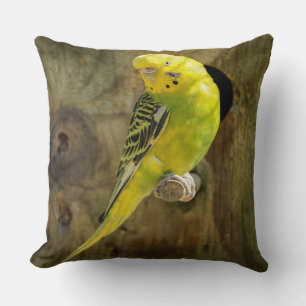 Pretty Yellow Parakeet Cushion