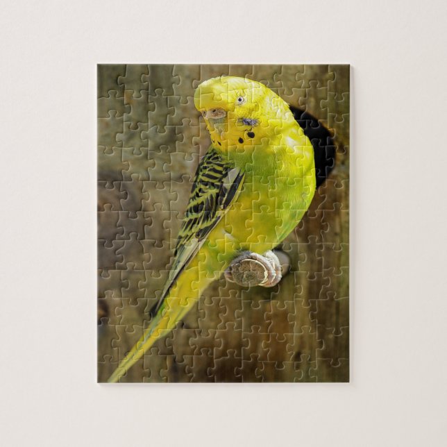 Pretty Yellow Parakeet Jigsaw Puzzle (Vertical)