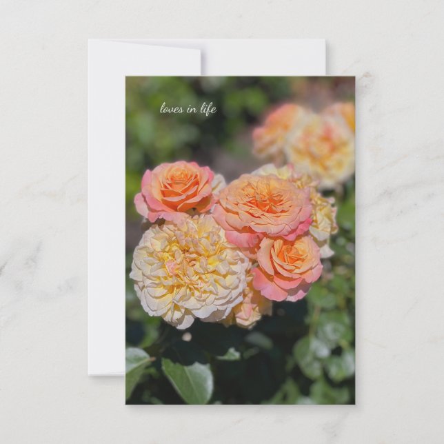 Pretty Yellow & Pink Roses Card (Front)