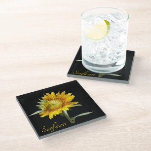Pretty yellow sunflower on black glass coaster