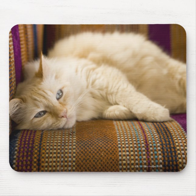 Pretty yellow tabi cat laying on couch. mouse pad (Front)