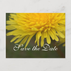 Pretty yellow wild flower dandelion save the date announcement postcard