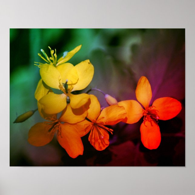 Pretty Yellow Wildflowers Abstract  Poster (Front)