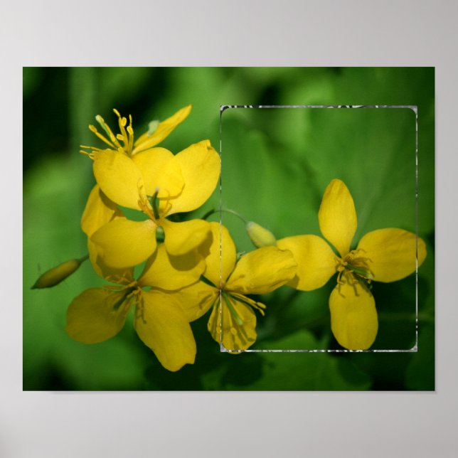 Pretty Yellow Wildflowers Frame Add Your Photo Poster (Front)