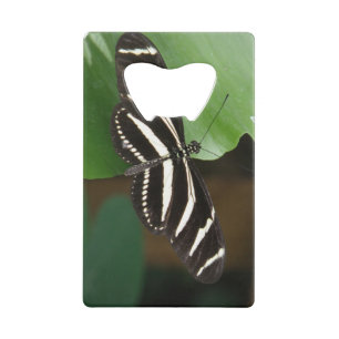 Pretty Zebra Longwing Butterfly Bottle Opener