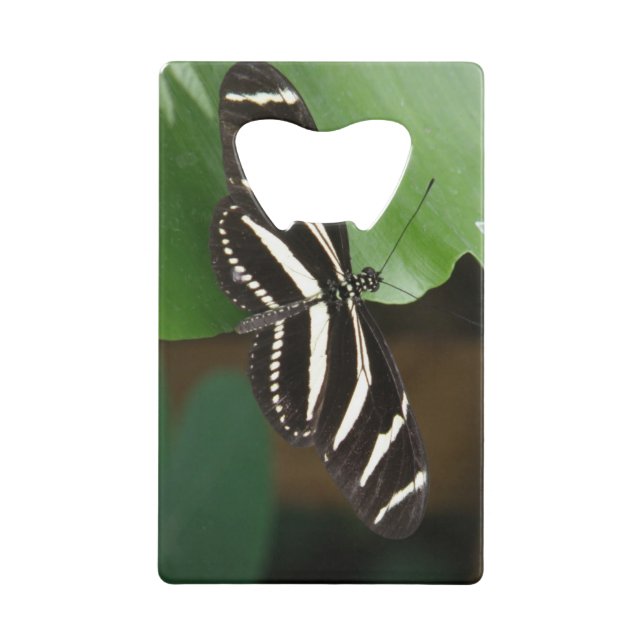 Pretty Zebra Longwing Butterfly Bottle Opener (Front)