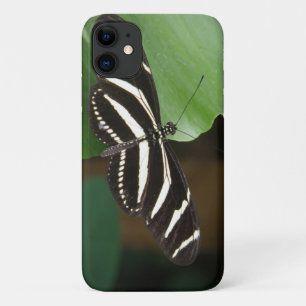Pretty Zebra Longwing Butterfly iPhone Case