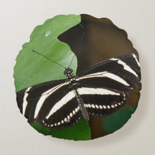 Pretty Zebra Longwing Butterfly Pillow