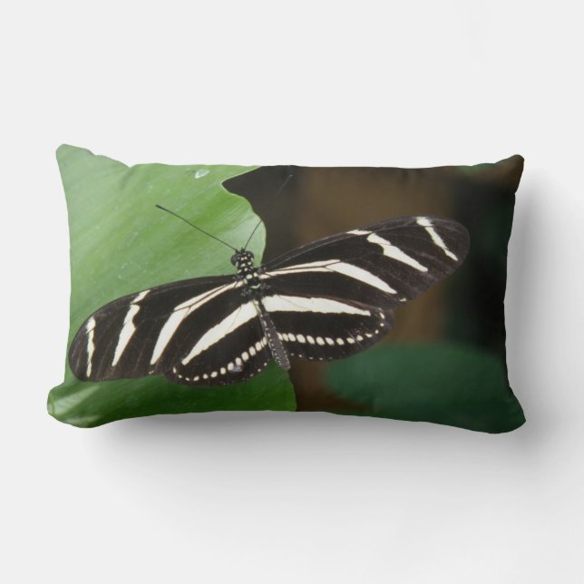 Pretty Zebra Longwing Butterfly Pillow (Front)