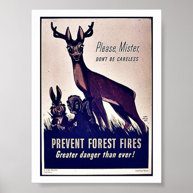 Prevent Forest Fires Poster (Front)
