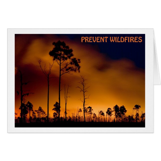 Prevent Wildfire (Front Horizontal)