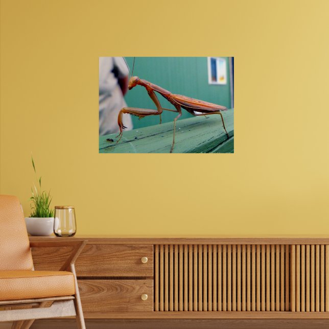 Preying Mantis & ant Poster (Living Room 2)