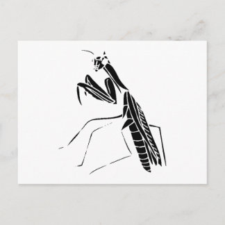 Preying Mantis Silhouette Postcard