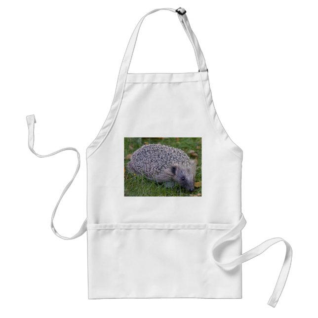Prickles Apron (Front)
