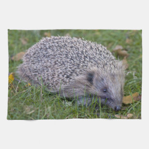 Prickles Kitchen Towel