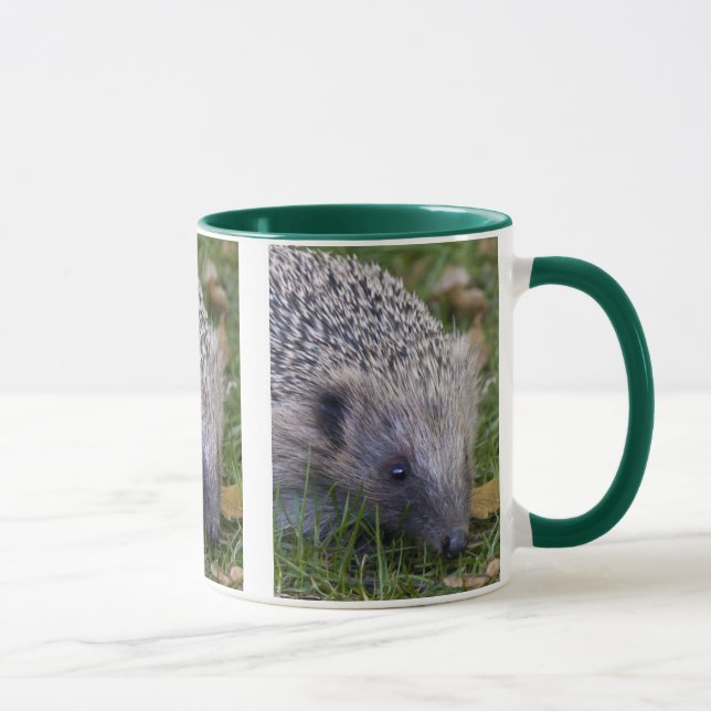 Prickles Mug (Right)