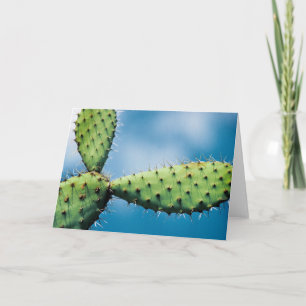 Prickley Cactus Card