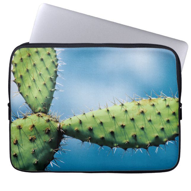 Prickley Cactus Laptop Sleeve (Front)
