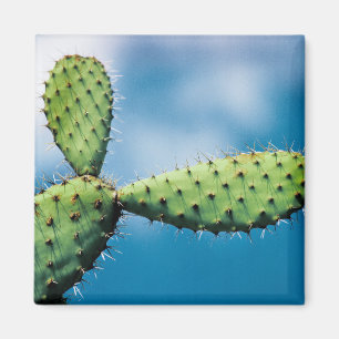 Prickley Cactus Magnet