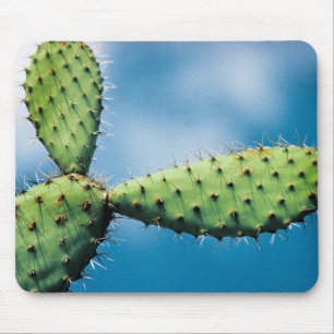 Prickley Cactus Mouse Pad