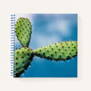 Prickley Cactus Notebook