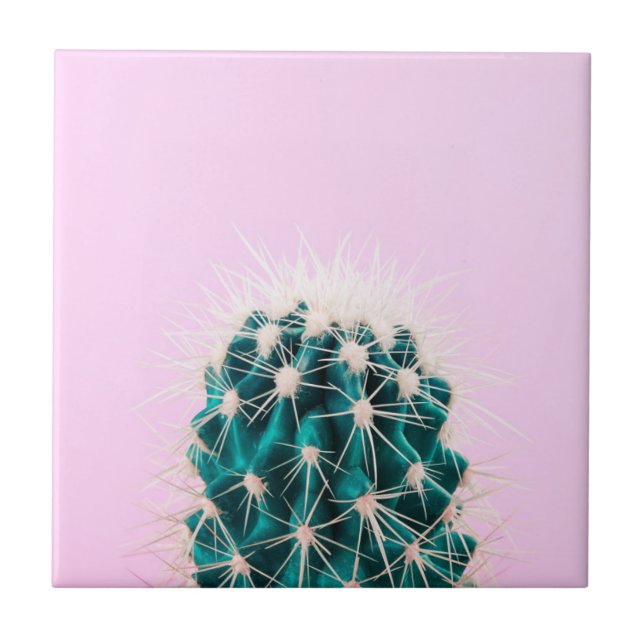Prickley Cactus on Pink Ceramic Tile (Front)