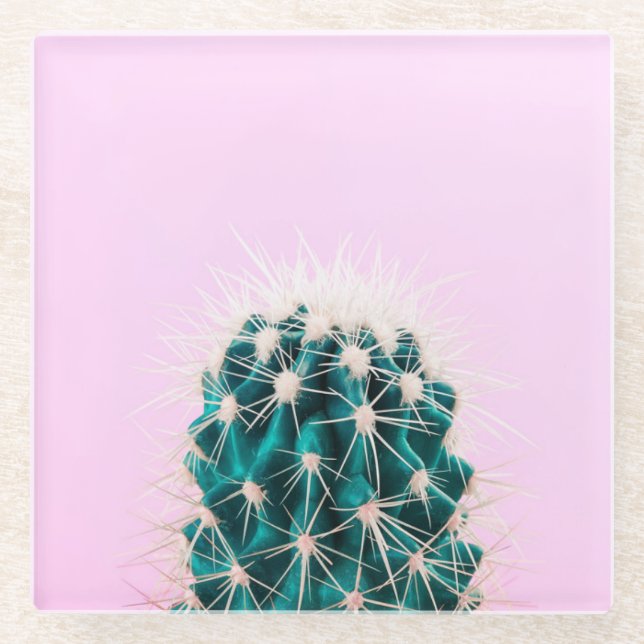 Prickley Cactus on Pink Glass Coaster (Front)