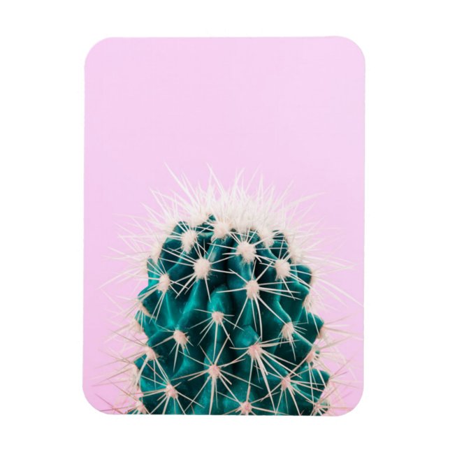 Prickley Cactus on Pink Magnet (Vertical)