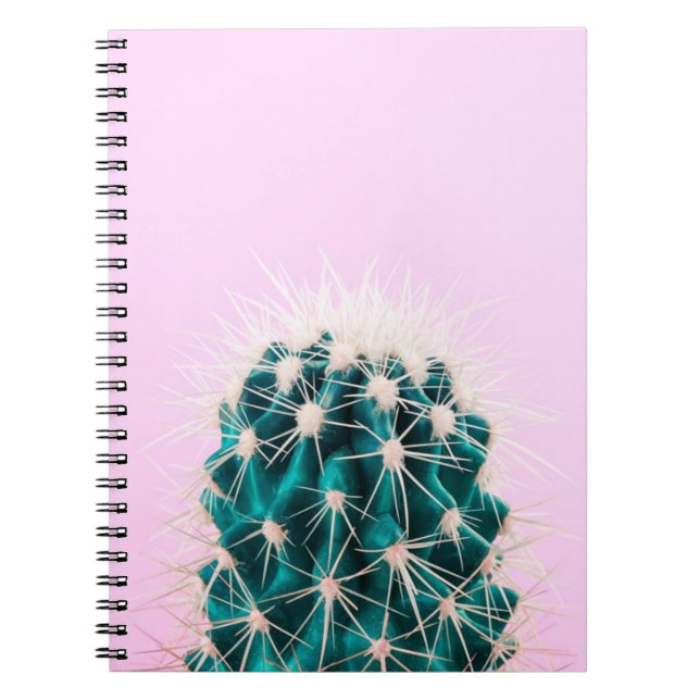 Prickley Cactus on Pink Notebook (Front)