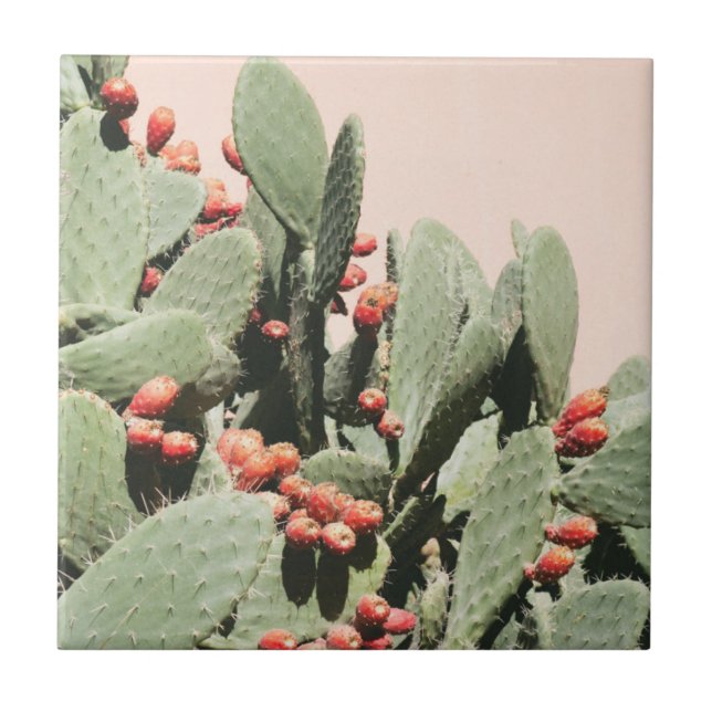 Prickley Pear Cactus Ceramic Tile (Front)