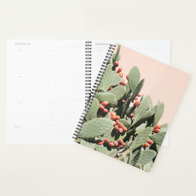 Prickley Pear Cactus Planner (Display)