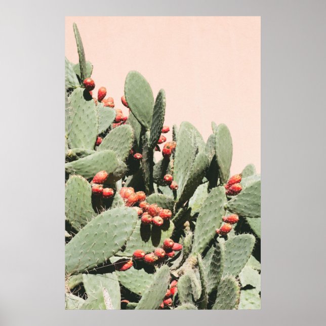Prickley Pear Cactus Poster (Front)