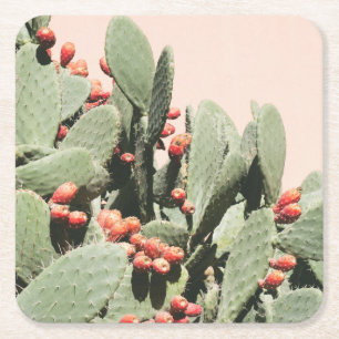 Prickley Pear Cactus Square Paper Coaster