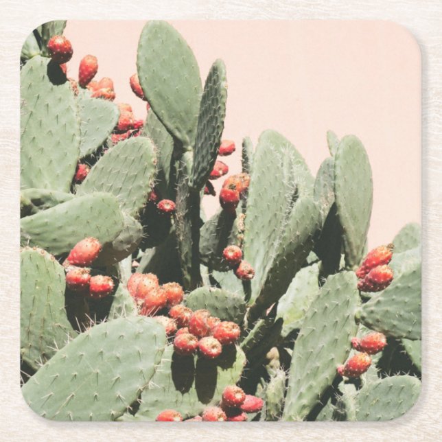 Prickley Pear Cactus Square Paper Coaster (Front)